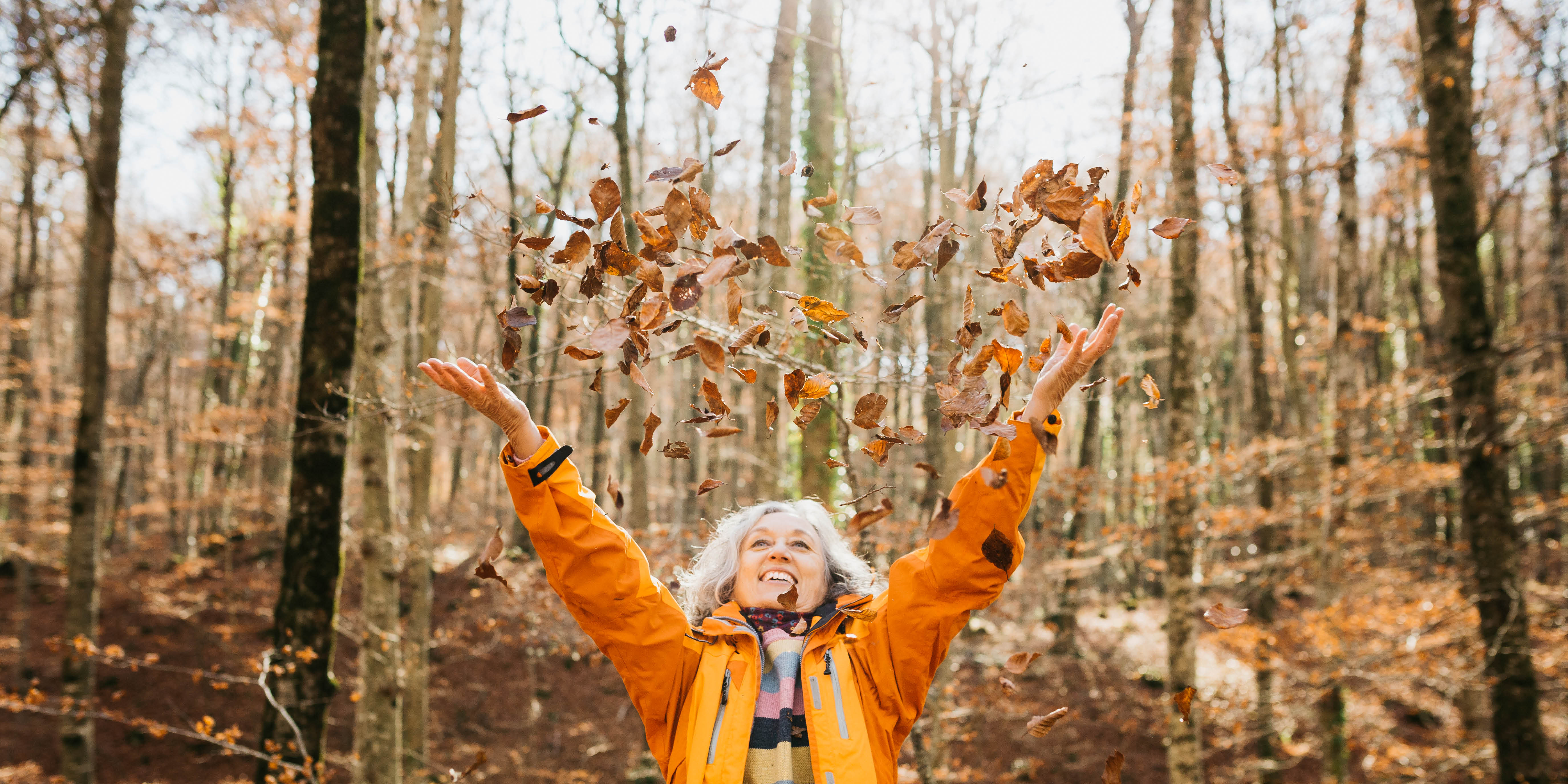 fall-activities-for-seniors