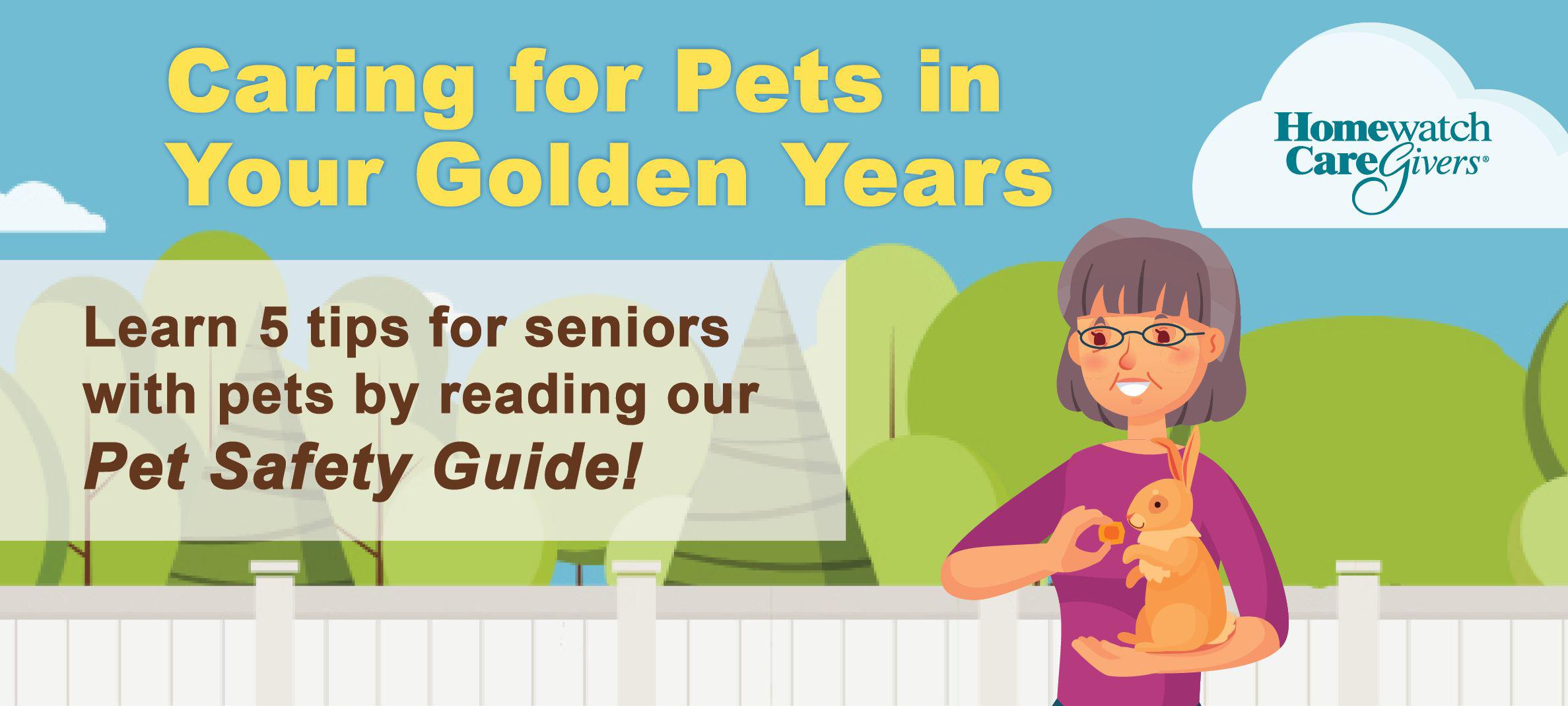 Pet Safety Guide: Caring for Pets in Your Golden Years