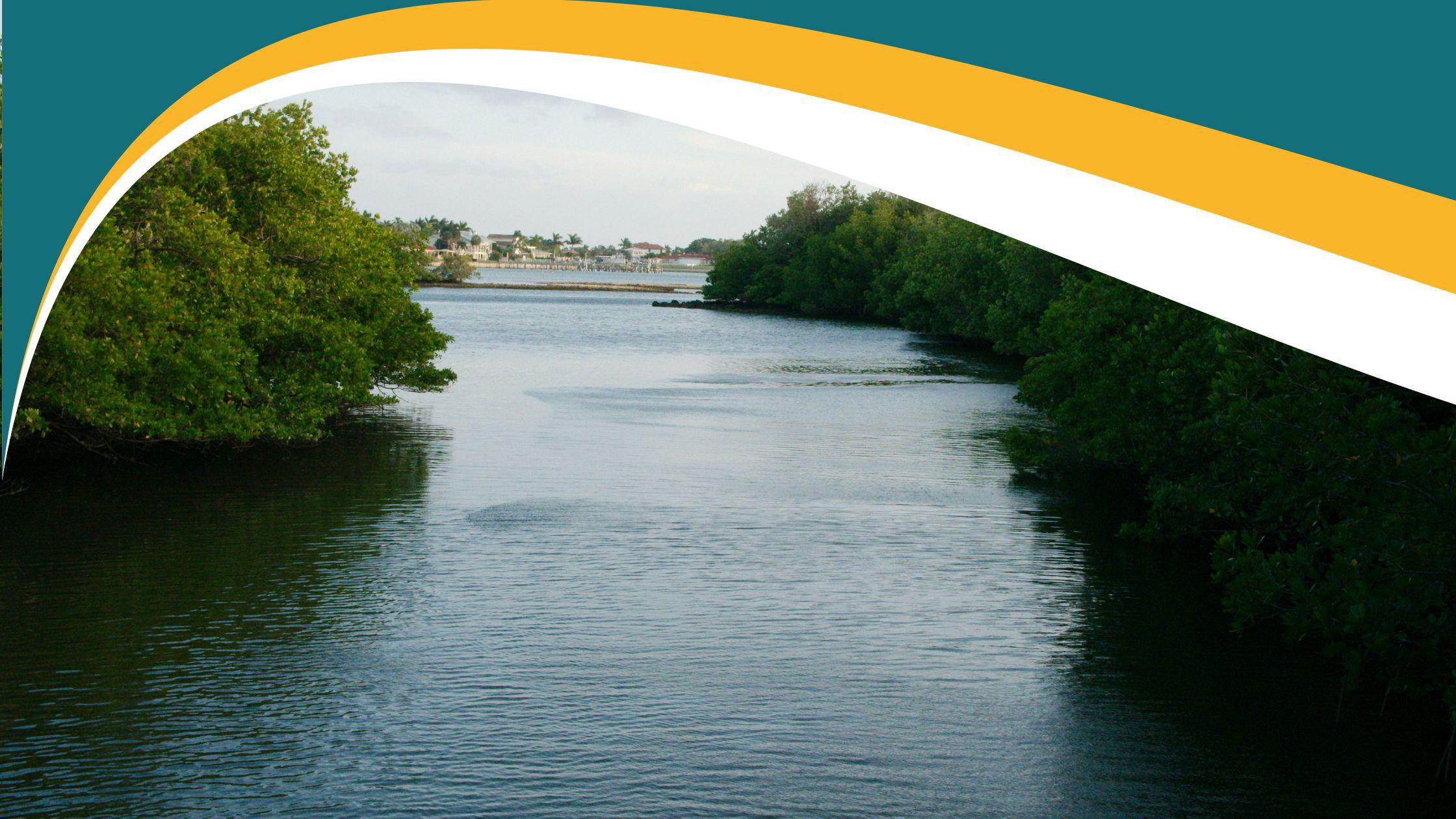 Clam Bayou in Gulfport FL