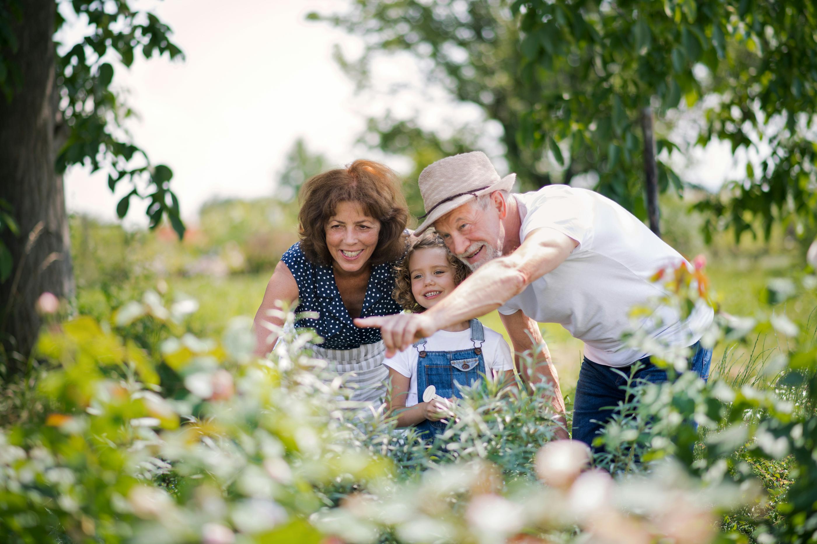 Picnics, Fishing, and Family Fun: Summer Activities for Seniors and ...