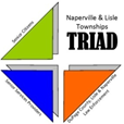 Triad Logo