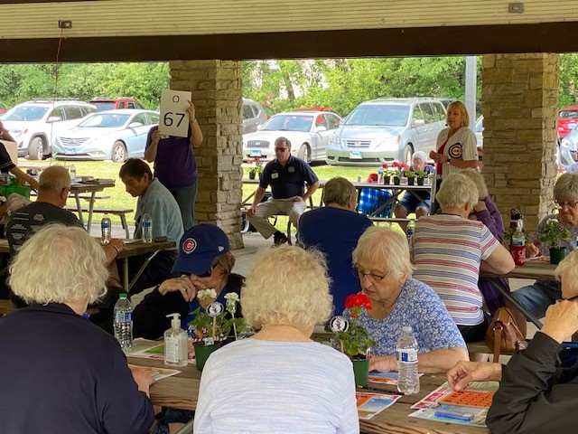naperville triad picnic